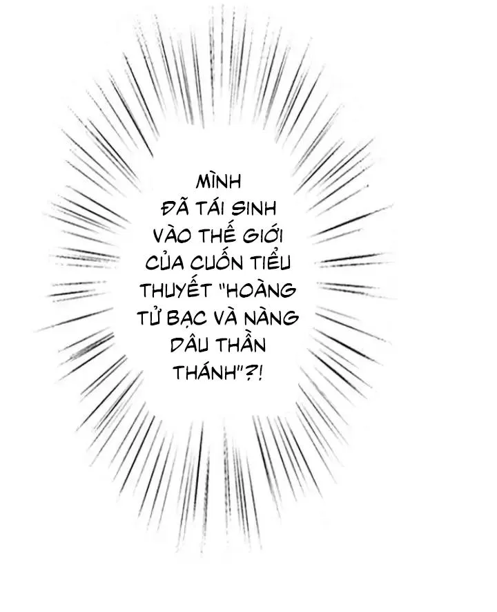 HOÀNG TỬ HOÀN HẢO YÊU TÔI, TÌNH ĐỊCH CỦA NGÀI Chapter 1 Trang 24