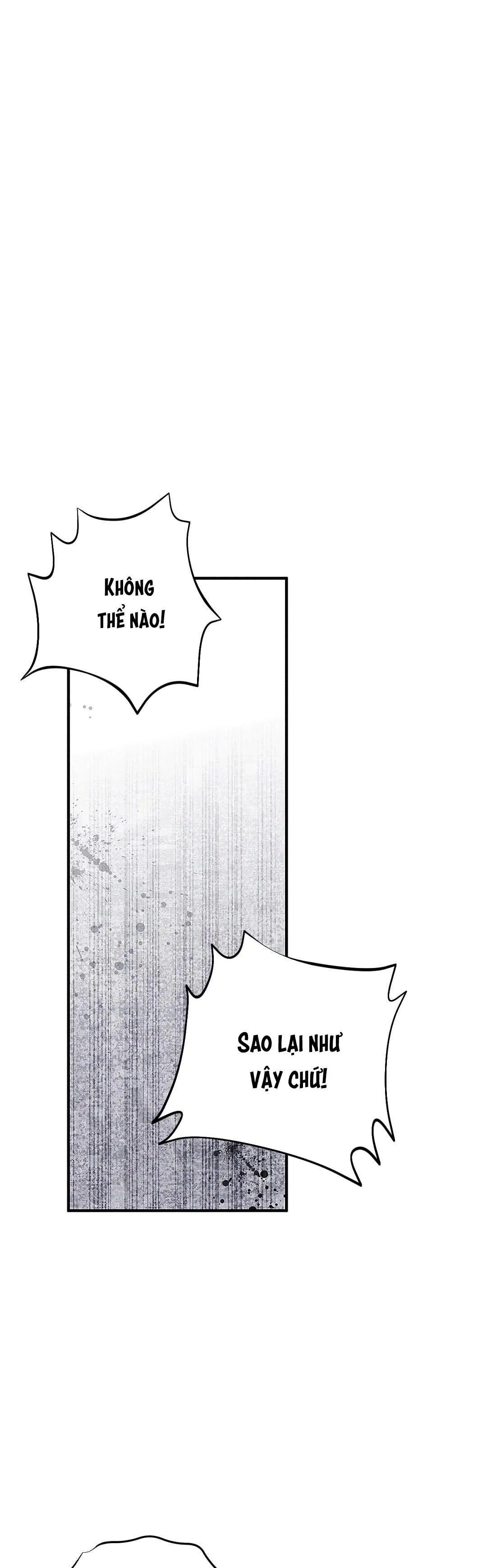 HOÀNG TỬ HƯ HỎNG CHE GIẤU MÌNH LÀ OMEGA Chapter 2 Trang 27