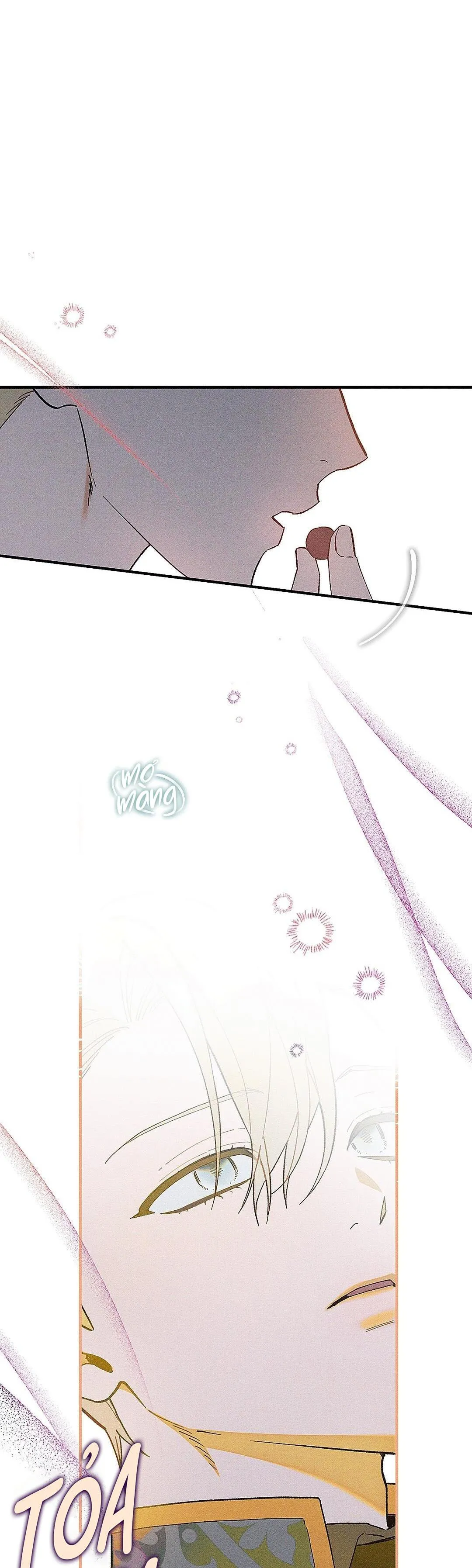 HOÀNG TỬ HƯ HỎNG CHE GIẤU MÌNH LÀ OMEGA Chapter 3 Trang 30