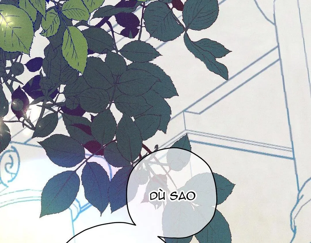 HOÀNG TỬ HƯ HỎNG CHE GIẤU MÌNH LÀ OMEGA Chapter 8 Trang 25