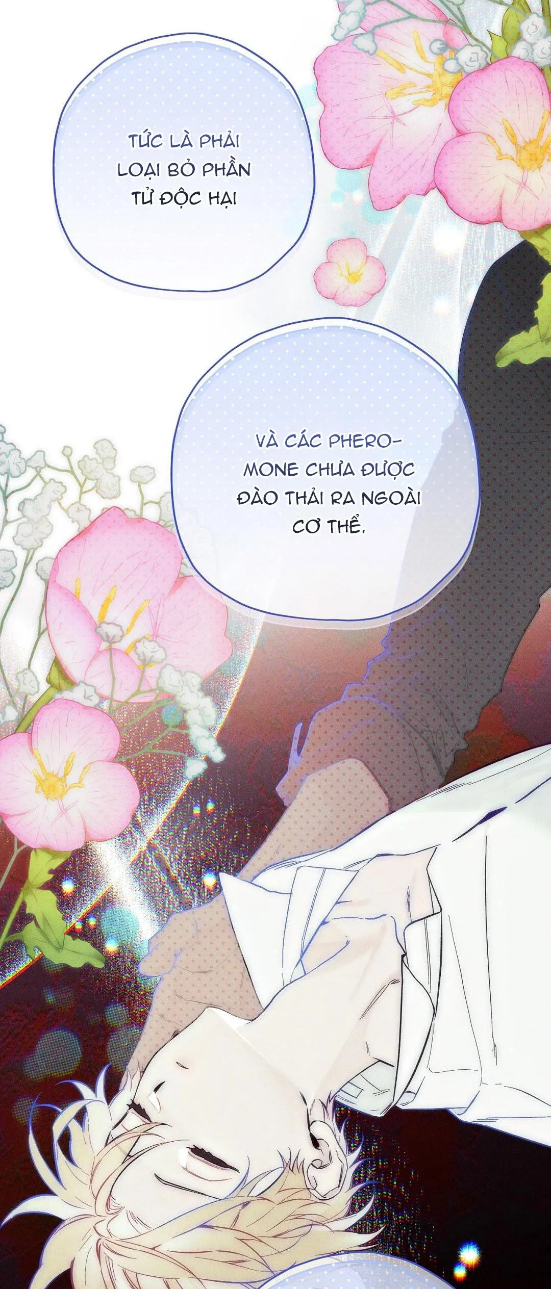 HOÀNG TỬ HƯ HỎNG CHE GIẤU MÌNH LÀ OMEGA Chapter 9 Trang 8