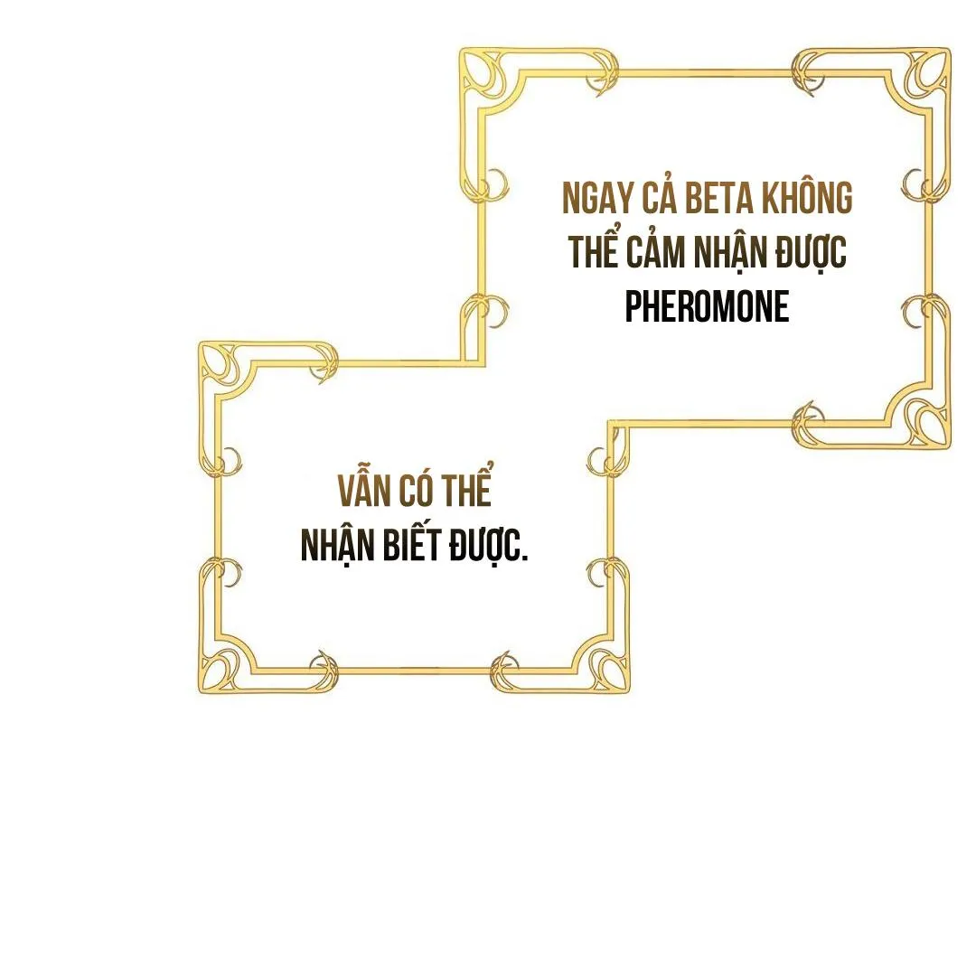 HOÀNG TỬ HƯ HỎNG CHE GIẤU MÌNH LÀ OMEGA Chapter 11 Trang 14