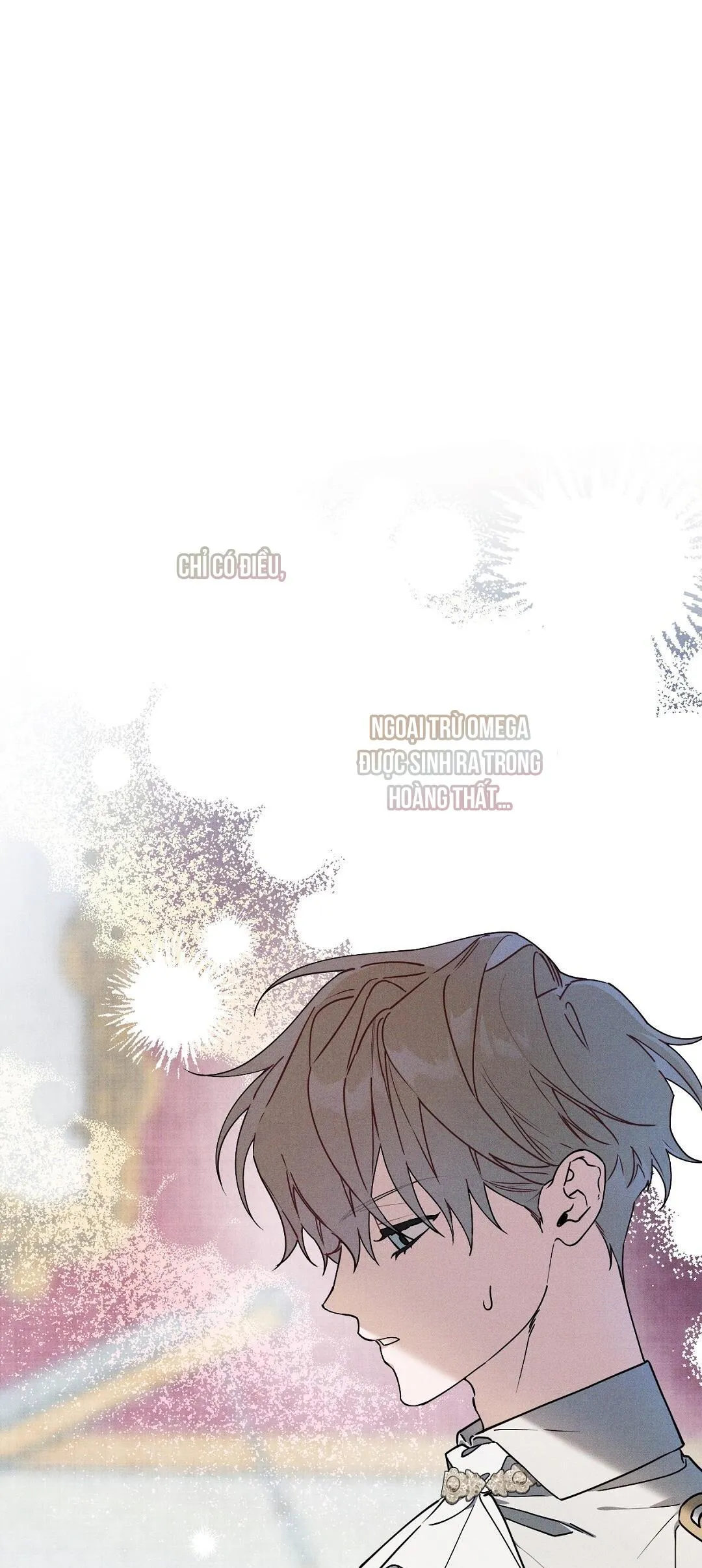 HOÀNG TỬ HƯ HỎNG CHE GIẤU MÌNH LÀ OMEGA Chapter 11 Trang 16