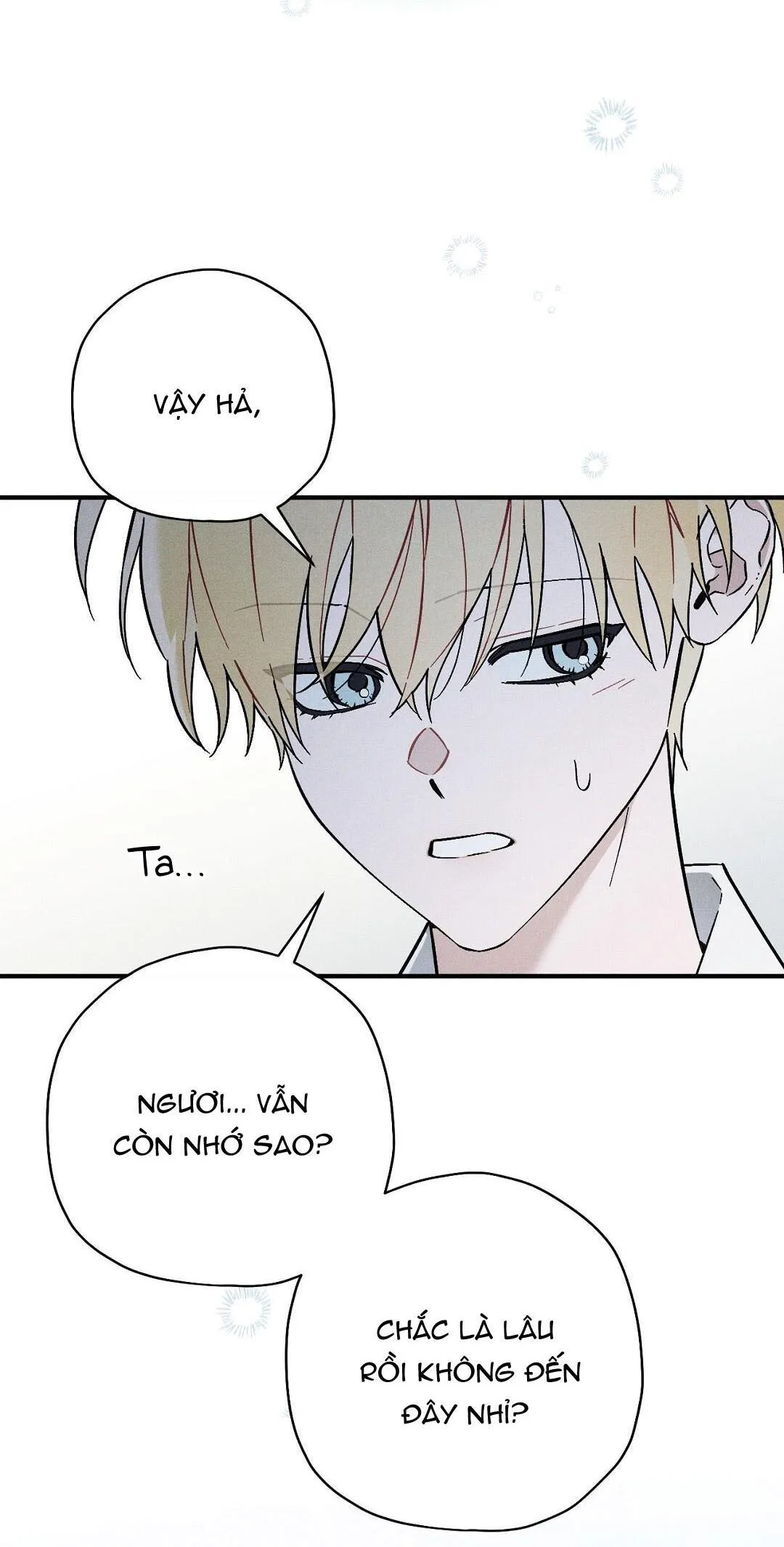 HOÀNG TỬ HƯ HỎNG CHE GIẤU MÌNH LÀ OMEGA Chapter 15 Trang 19