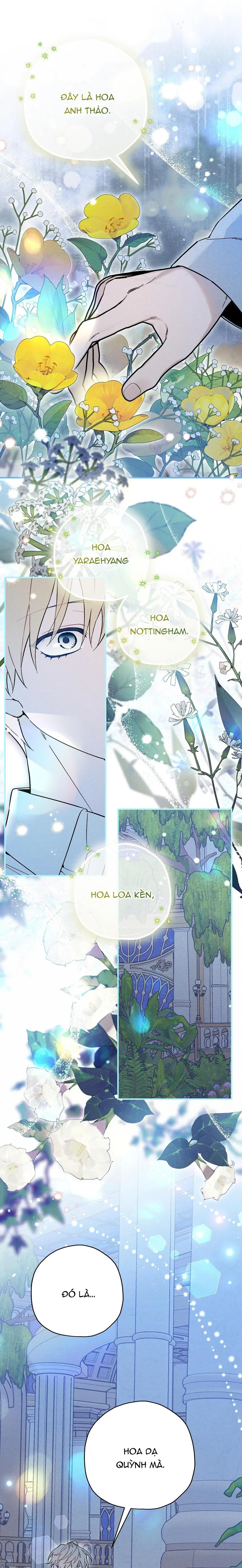 HOÀNG TỬ HƯ HỎNG CHE GIẤU MÌNH LÀ OMEGA Chapter 15 Trang 23