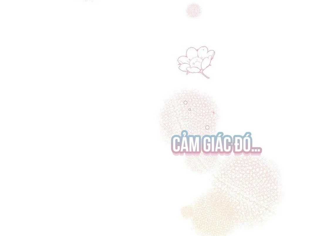 HOÀNG TỬ HƯ HỎNG CHE GIẤU MÌNH LÀ OMEGA Chapter 16 Trang 15