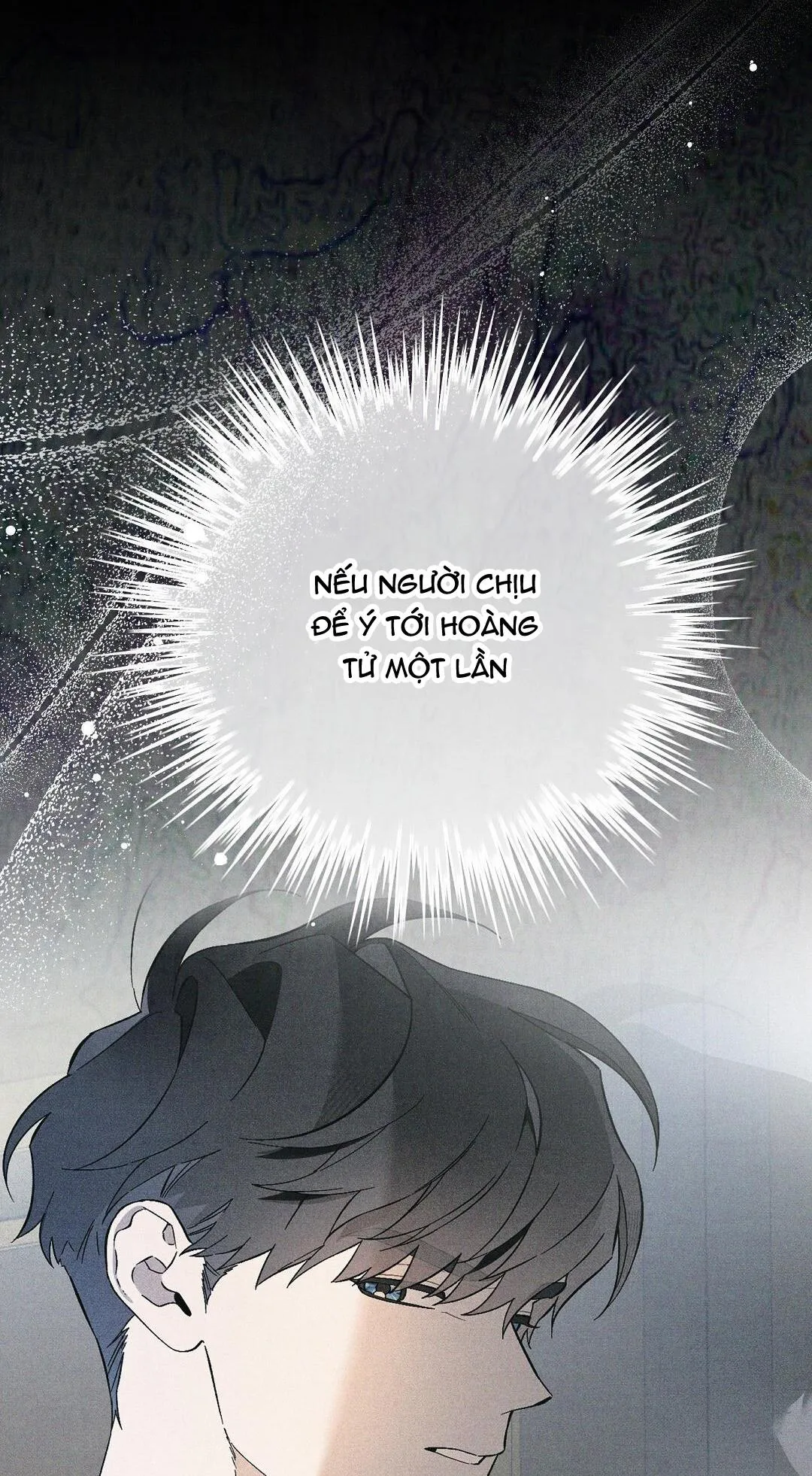 HOÀNG TỬ HƯ HỎNG CHE GIẤU MÌNH LÀ OMEGA Chapter 17 Trang 31