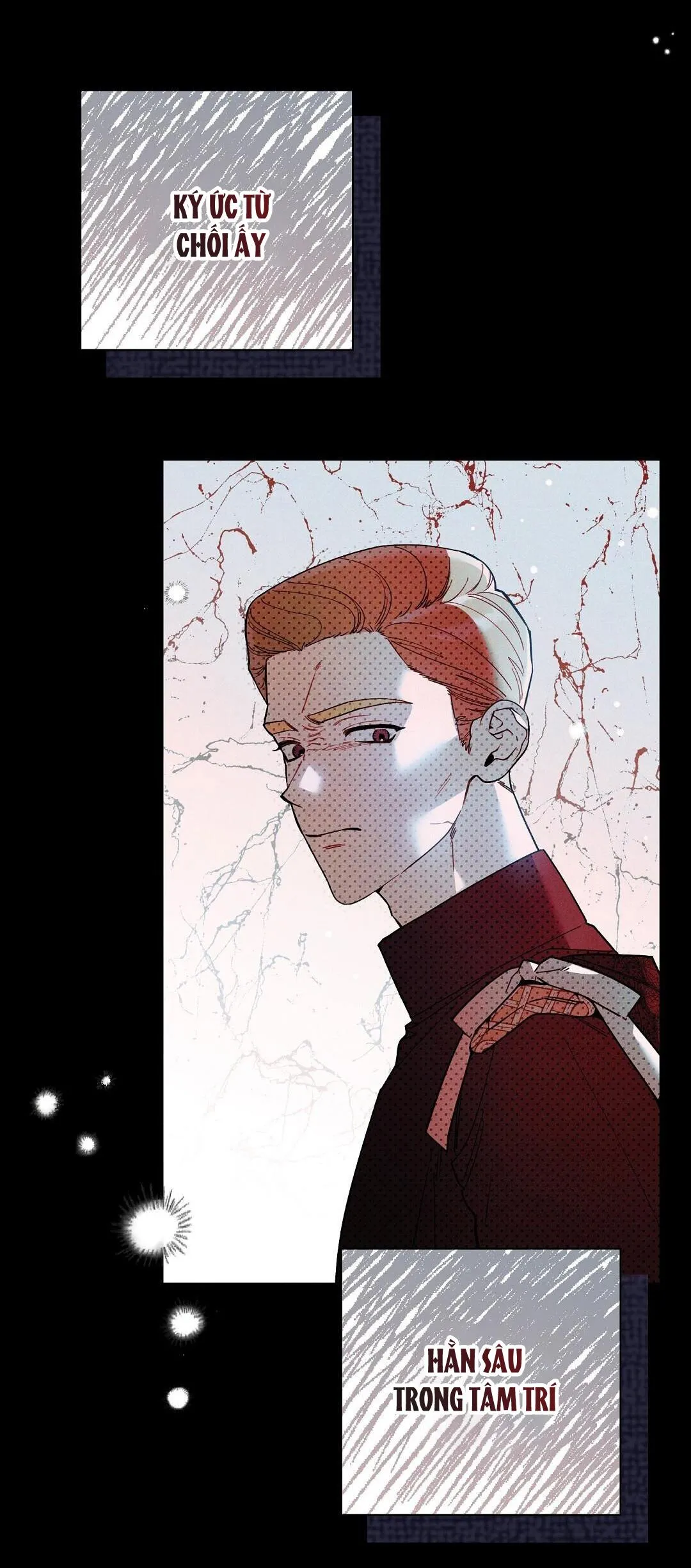 HOÀNG TỬ HƯ HỎNG CHE GIẤU MÌNH LÀ OMEGA Chapter 18 Trang 8