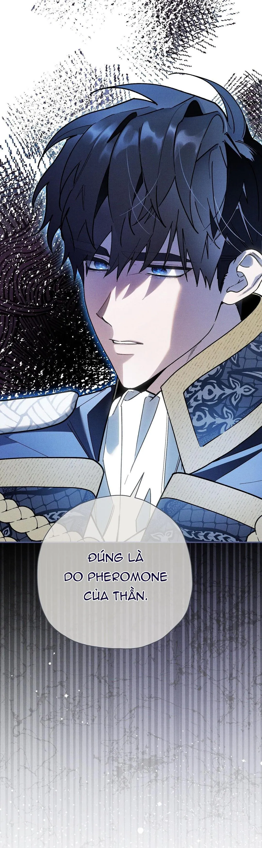 HOÀNG TỬ HƯ HỎNG CHE GIẤU MÌNH LÀ OMEGA Chapter 27 Trang 12