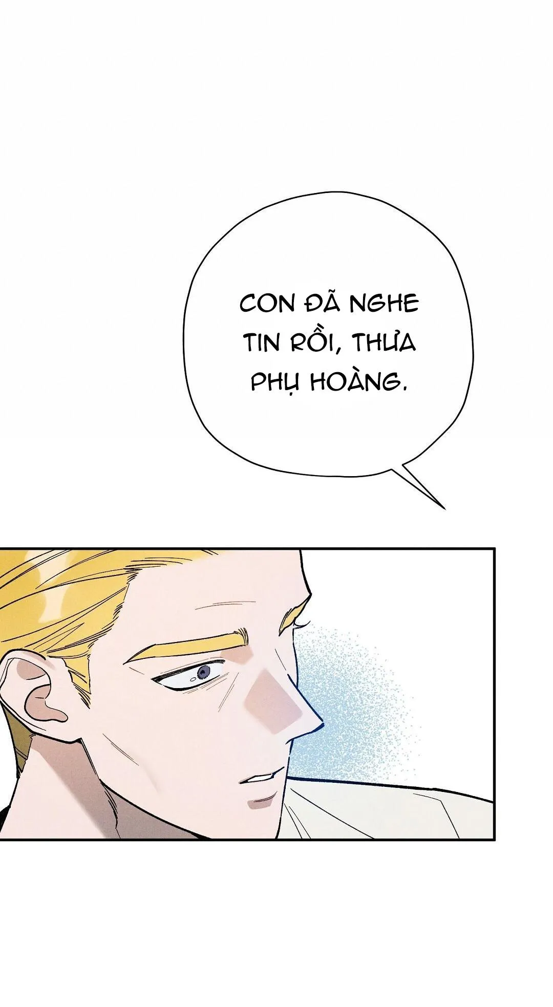 HOÀNG TỬ HƯ HỎNG CHE GIẤU MÌNH LÀ OMEGA Chapter 27 Trang 24