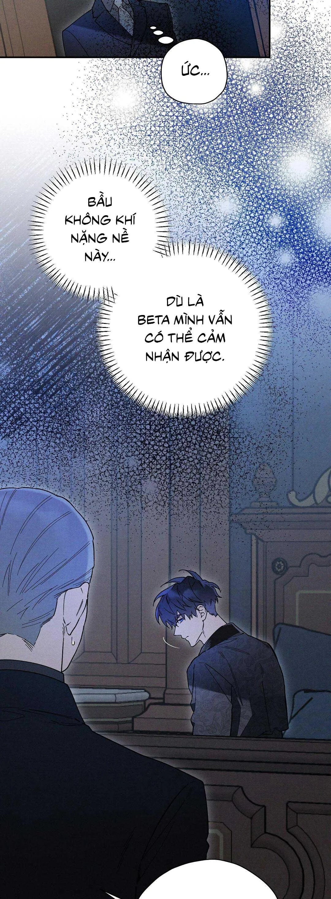HOÀNG TỬ HƯ HỎNG CHE GIẤU MÌNH LÀ OMEGA Chapter 36 Trang 14