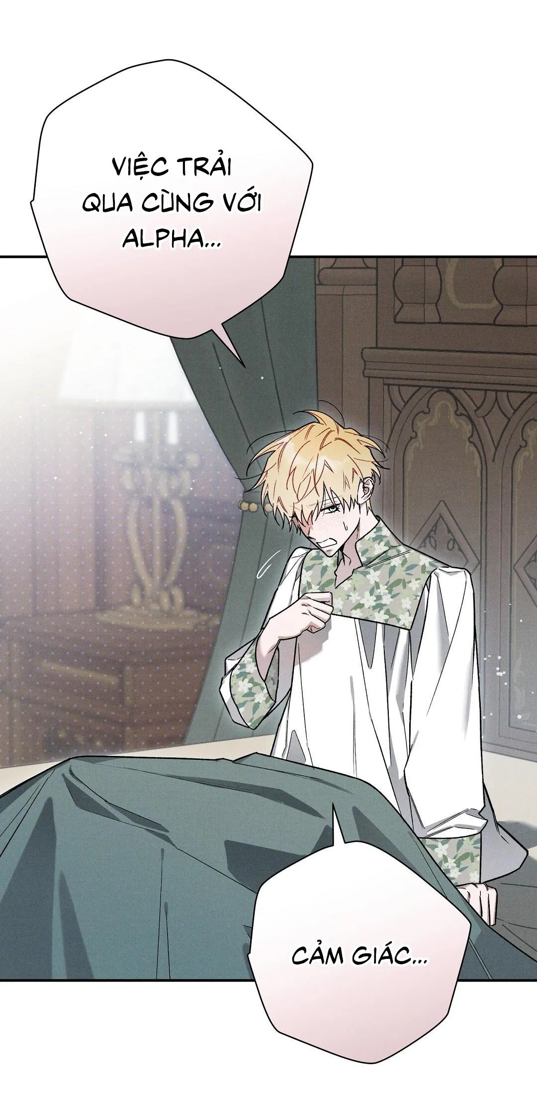HOÀNG TỬ HƯ HỎNG CHE GIẤU MÌNH LÀ OMEGA Chapter 39 Trang 17