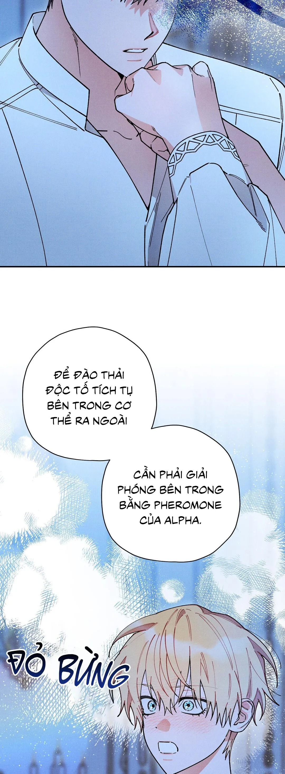 HOÀNG TỬ HƯ HỎNG CHE GIẤU MÌNH LÀ OMEGA Chapter 55 Trang 3