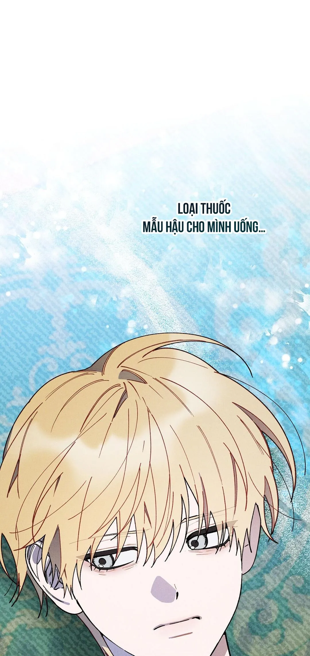 HOÀNG TỬ HƯ HỎNG CHE GIẤU MÌNH LÀ OMEGA Chapter 62 Trang 12