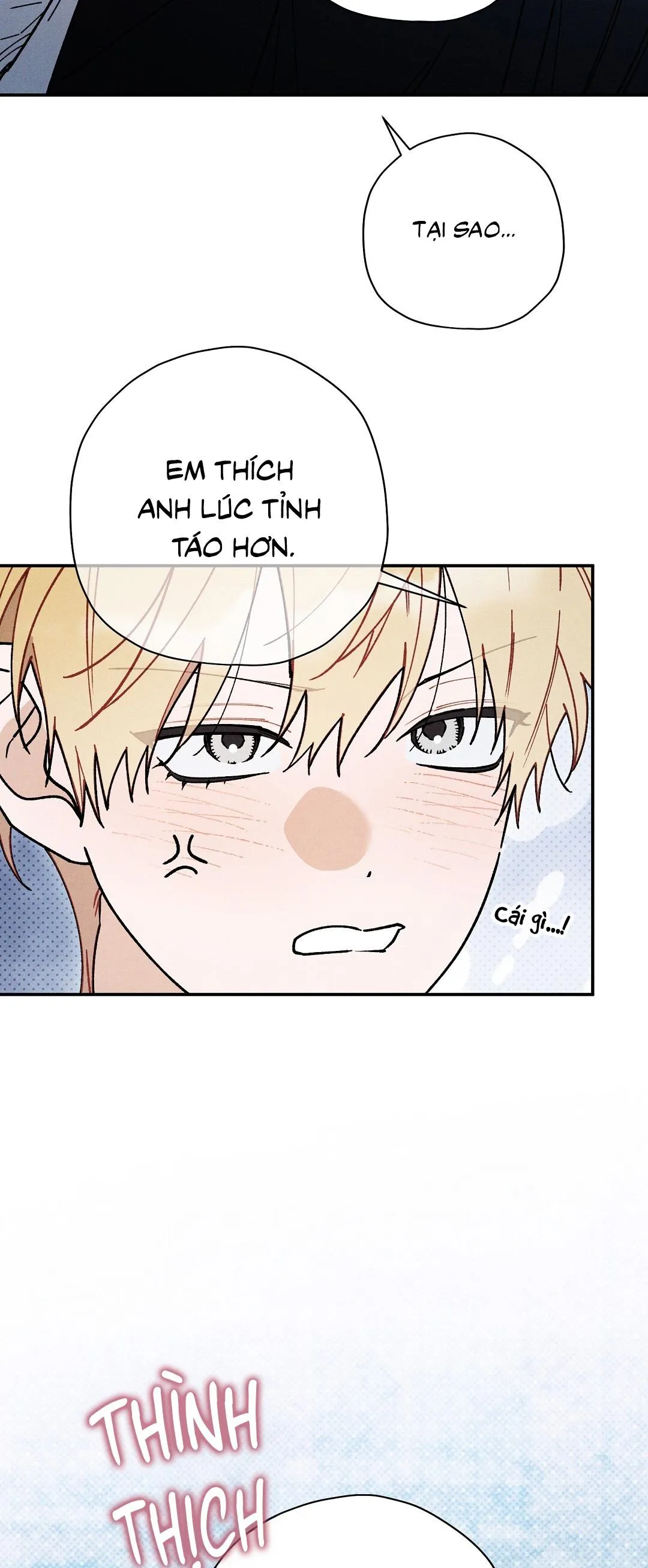 HOÀNG TỬ HƯ HỎNG CHE GIẤU MÌNH LÀ OMEGA Chapter 74 Trang 6