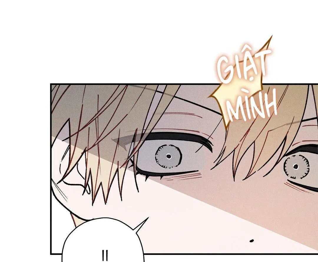 HOÀNG TỬ HƯ HỎNG CHE GIẤU MÌNH LÀ OMEGA Chapter 74 Trang 66