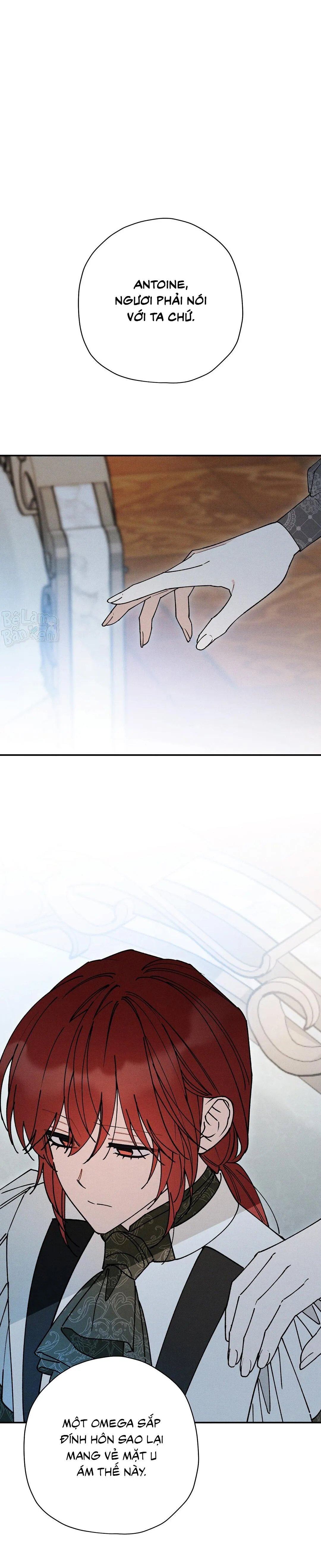 HOÀNG TỬ HƯ HỎNG CHE GIẤU MÌNH LÀ OMEGA Chapter 87 Trang 29