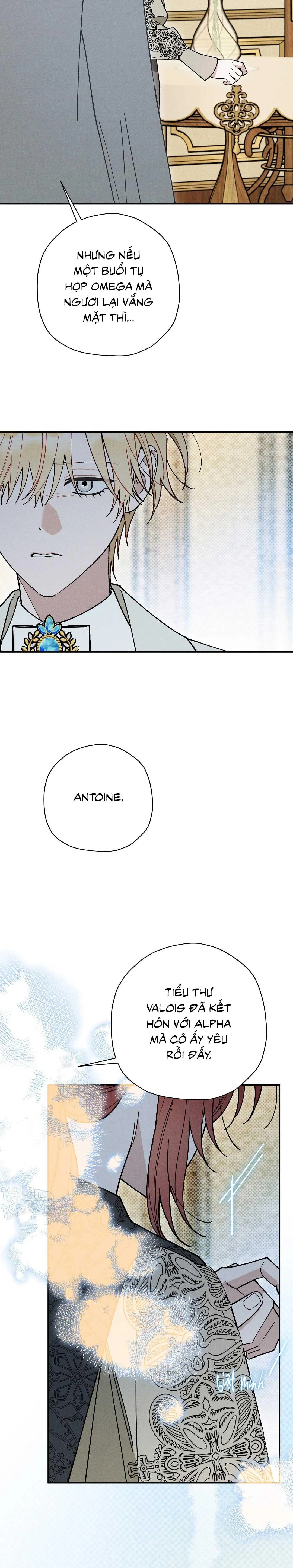 HOÀNG TỬ HƯ HỎNG CHE GIẤU MÌNH LÀ OMEGA Chapter 89 Trang 10