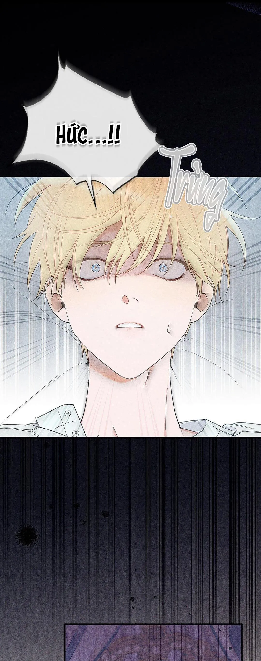 HOÀNG TỬ HƯ HỎNG CHE GIẤU MÌNH LÀ OMEGA Chapter 1 Trang 9