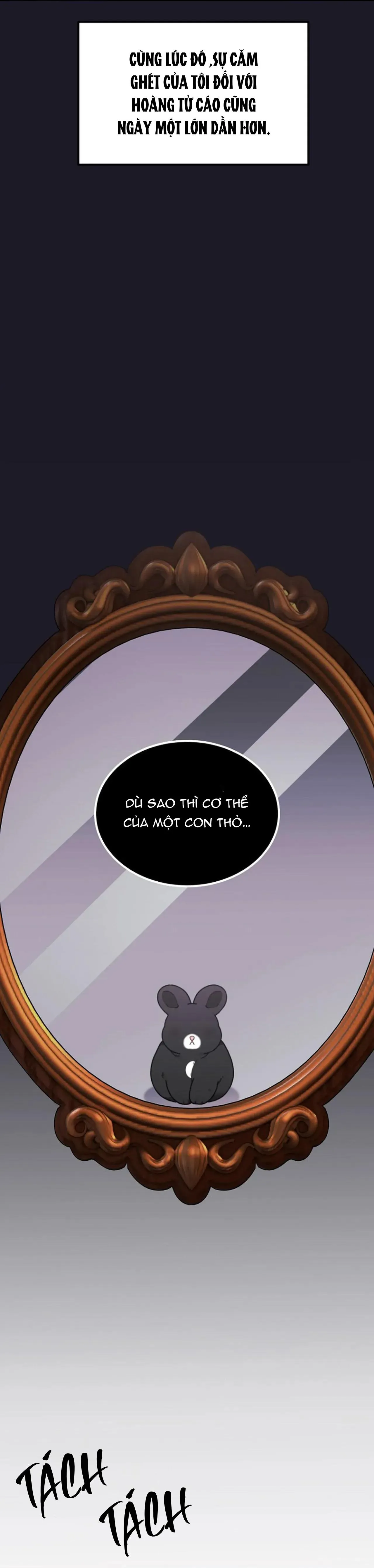 Drop Hoàng Tử Thỏ Trên Cung Trăng Chapter 10 Trang 4