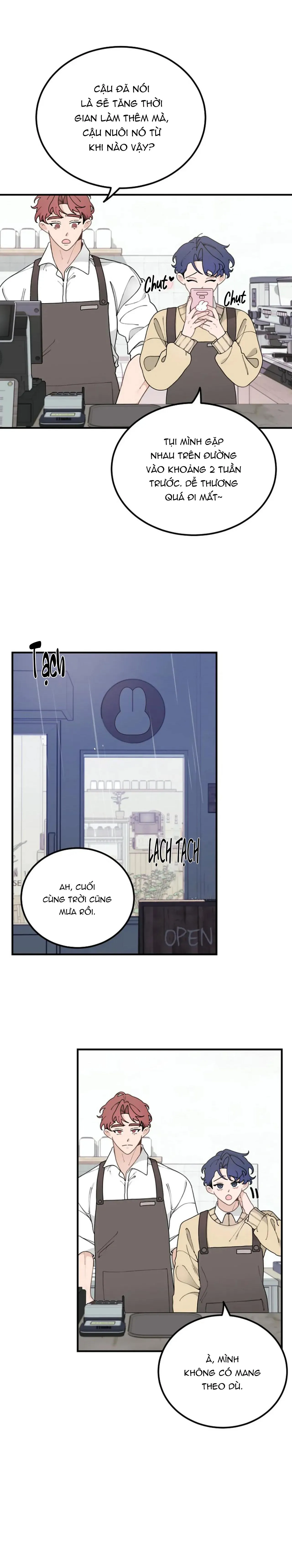 Drop Hoàng Tử Thỏ Trên Cung Trăng Chapter 13 Trang 3