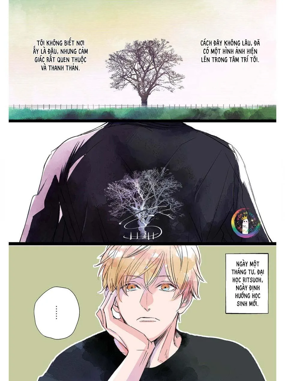 Hồi Kết Mảnh Tình Vương (END) Chapter 3 Trang 4