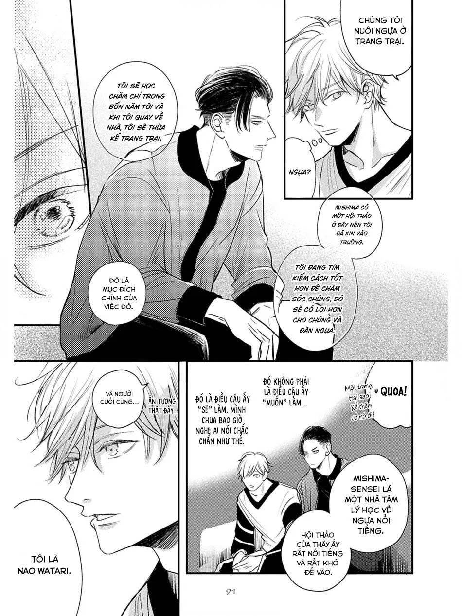 Hồi Kết Mảnh Tình Vương (END) Chapter 3 Trang 11