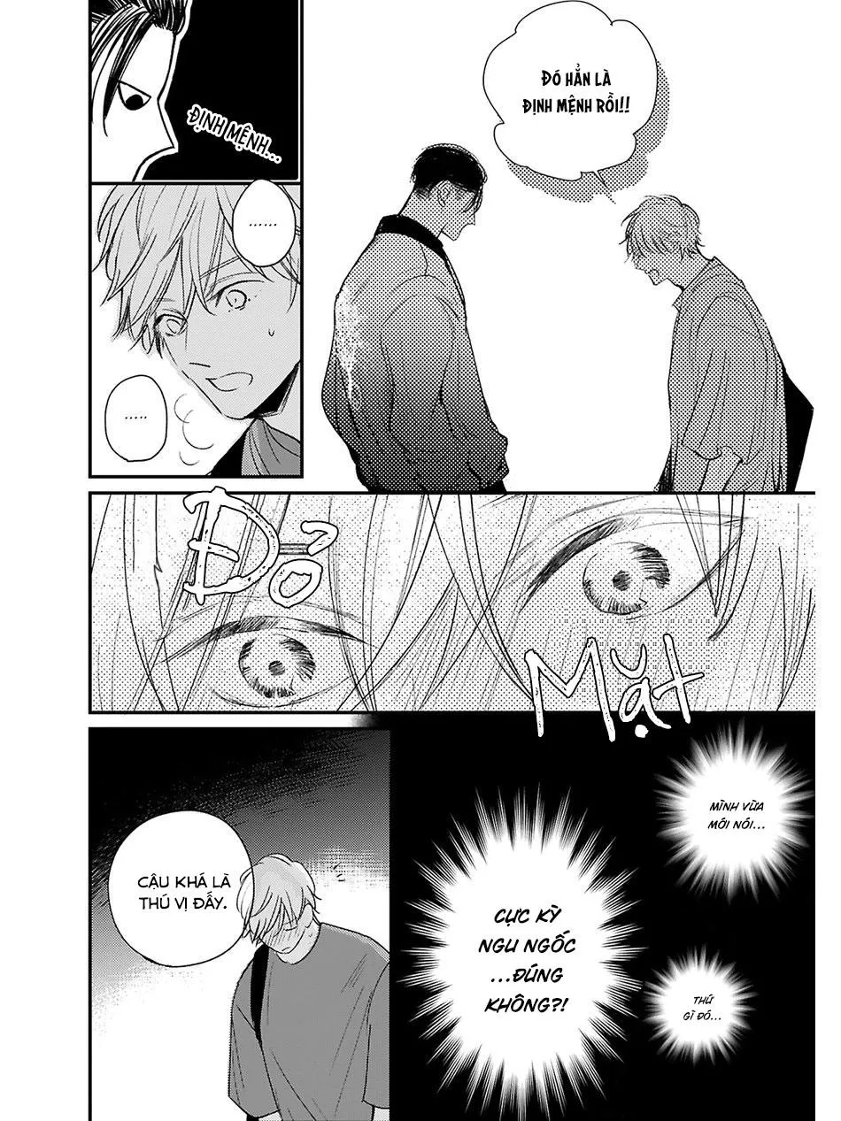 Hồi Kết Mảnh Tình Vương (END) Chapter 4 Trang 6