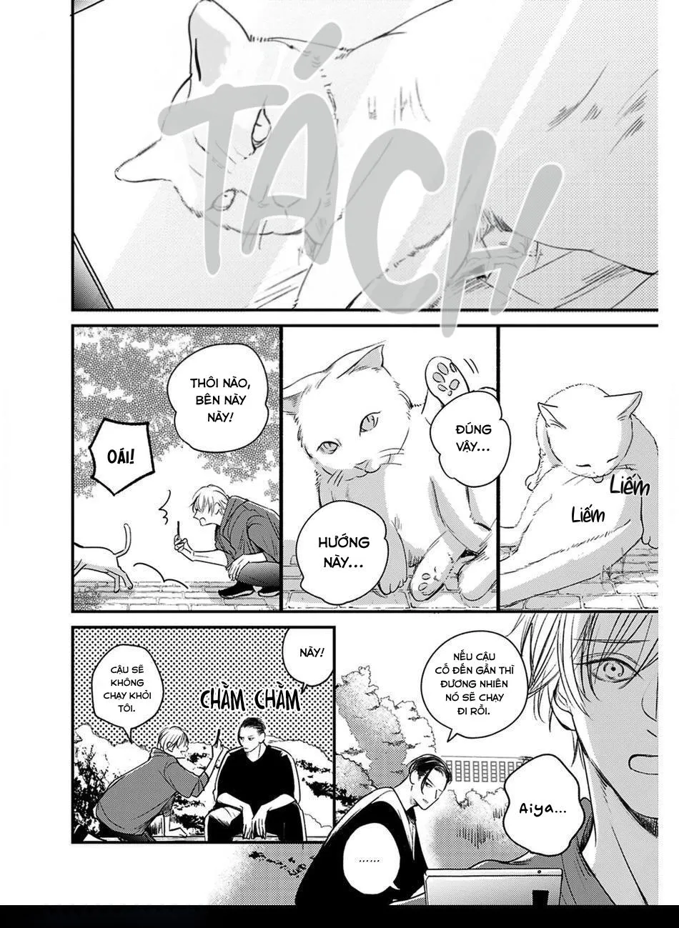 Hồi Kết Mảnh Tình Vương (END) Chapter 5 Trang 4