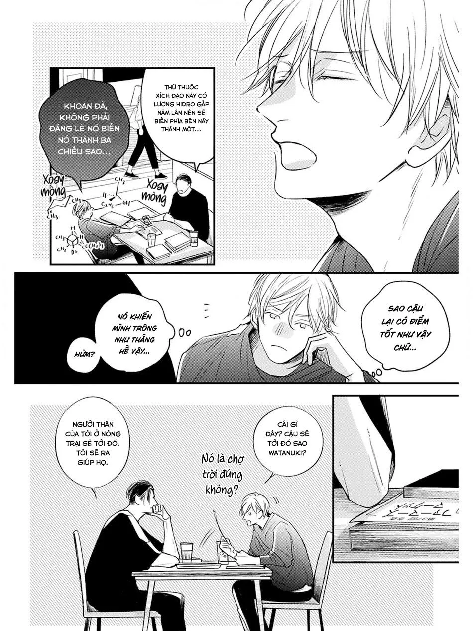 Hồi Kết Mảnh Tình Vương (END) Chapter 5 Trang 10