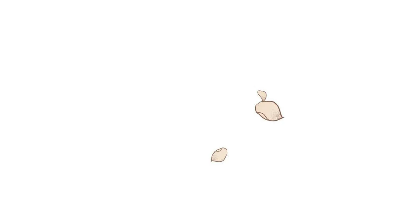 Hồi Ức Của Nhịp Thở Chapter 8 Trang 6