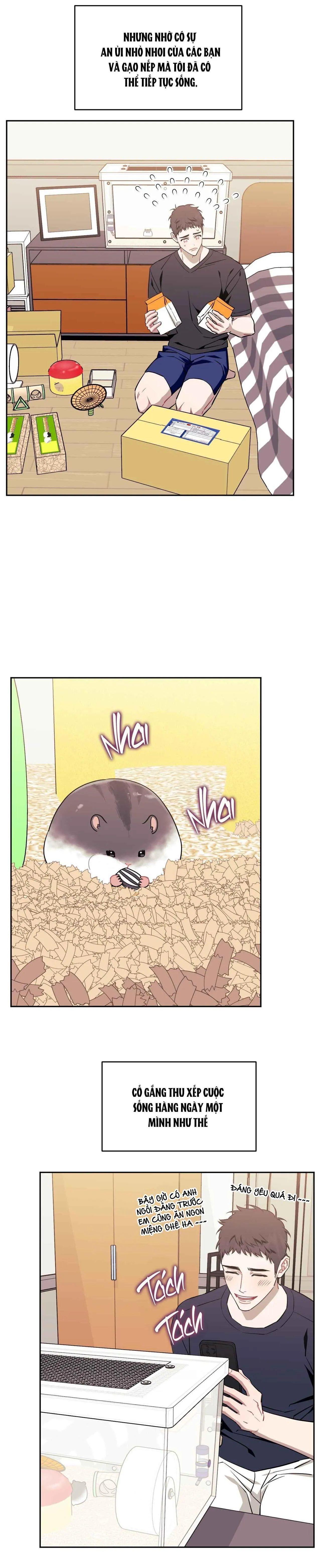 HƠN CẢ BẠN BÈ Chapter 101 Trang 15