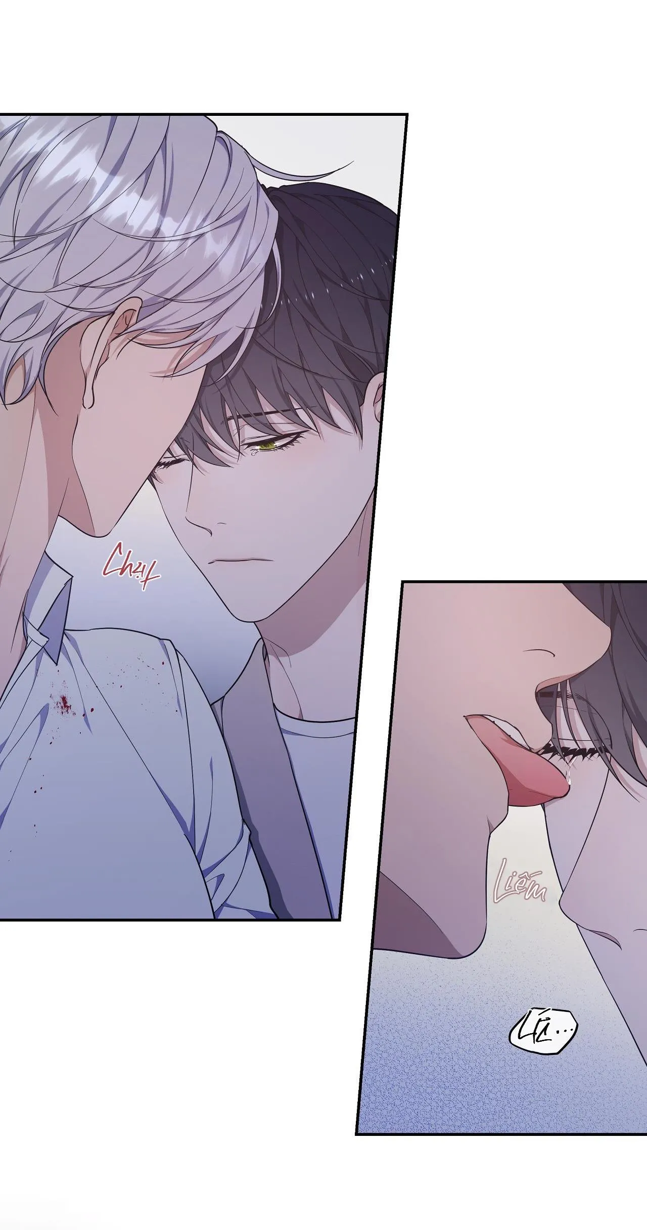 Hỗn Mộng Chapter 31 Trang 5