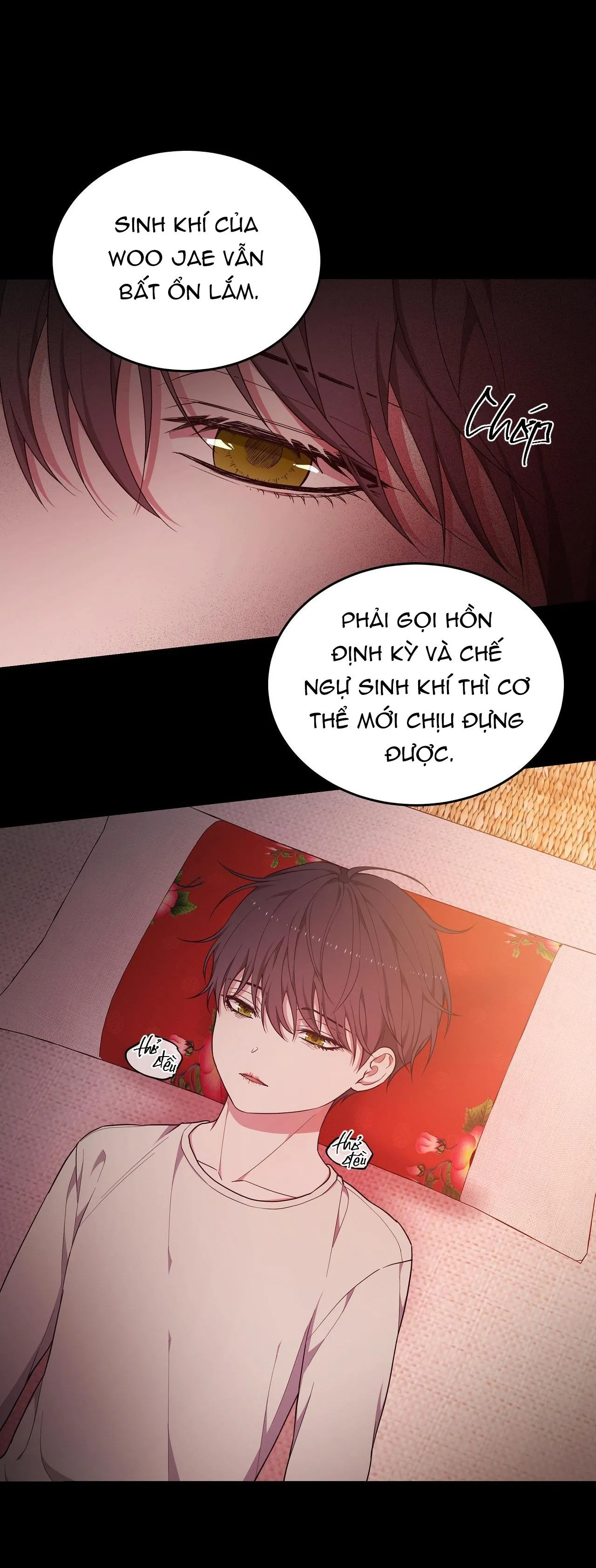 Hỗn Mộng Chapter 31 Trang 14