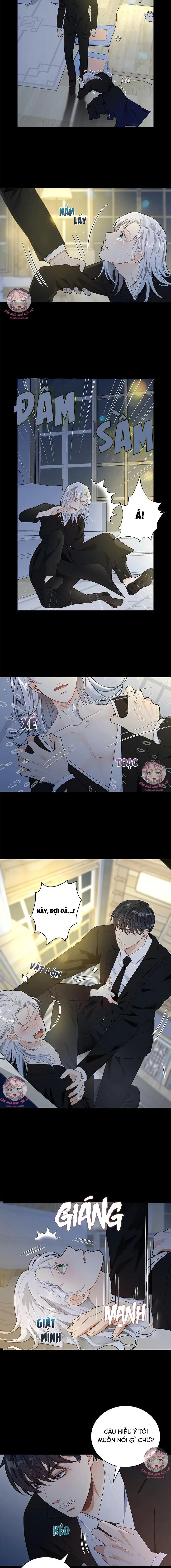 Hôn Nhân Bị Đánh Cắp Của Hồ Ly Chapter 1 Trang 9