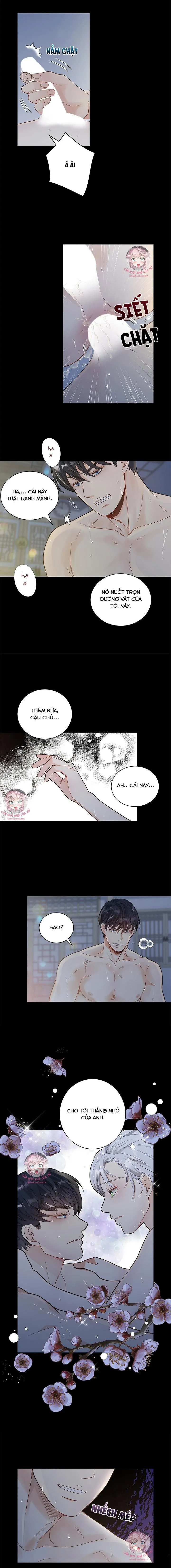 Hôn Nhân Bị Đánh Cắp Của Hồ Ly Chapter 1 Trang 12