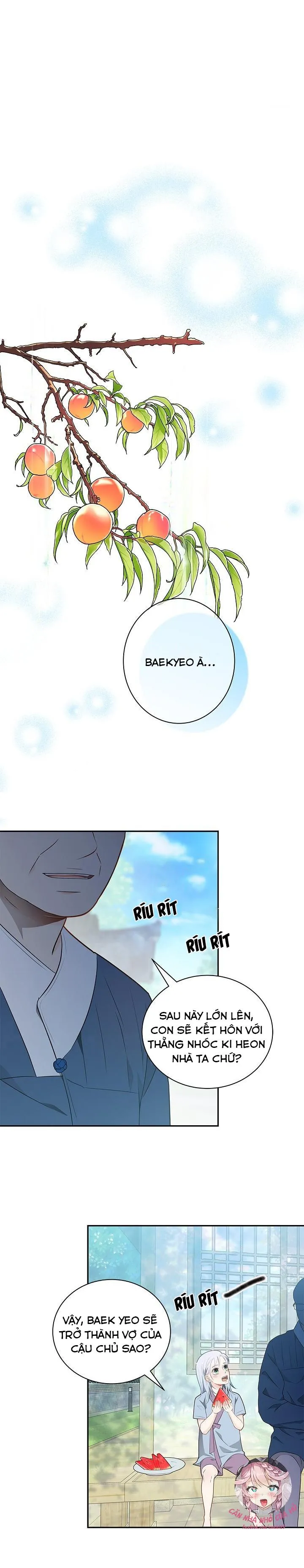 Hôn Nhân Bị Đánh Cắp Của Hồ Ly Chapter 2 Trang 3