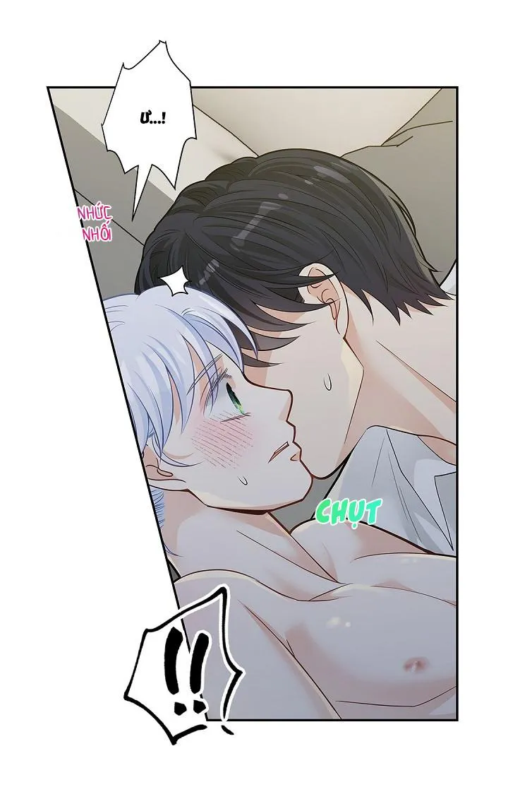 Hôn Nhân Bị Đánh Cắp Của Hồ Ly Chapter 8 Trang 47