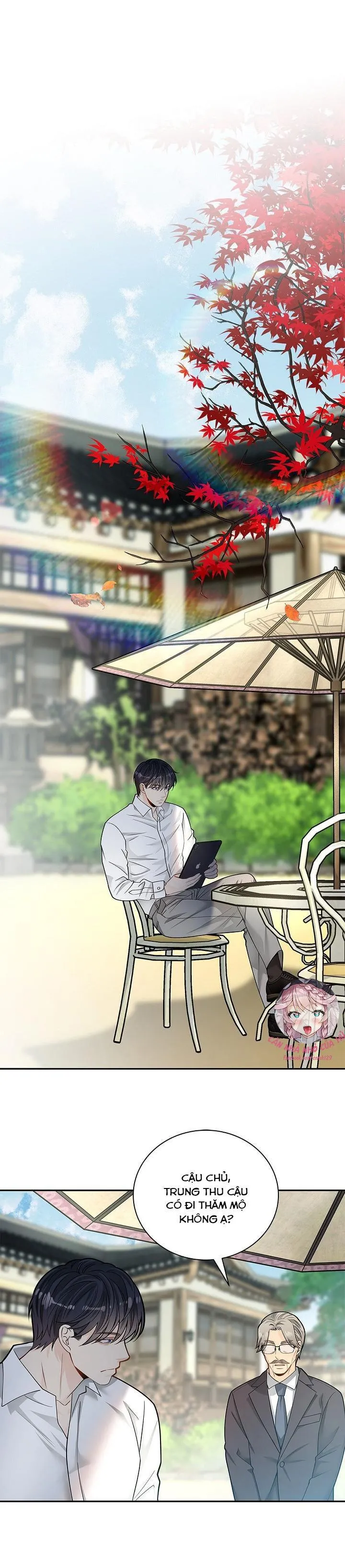 Hôn Nhân Bị Đánh Cắp Của Hồ Ly Chapter 9 Trang 22