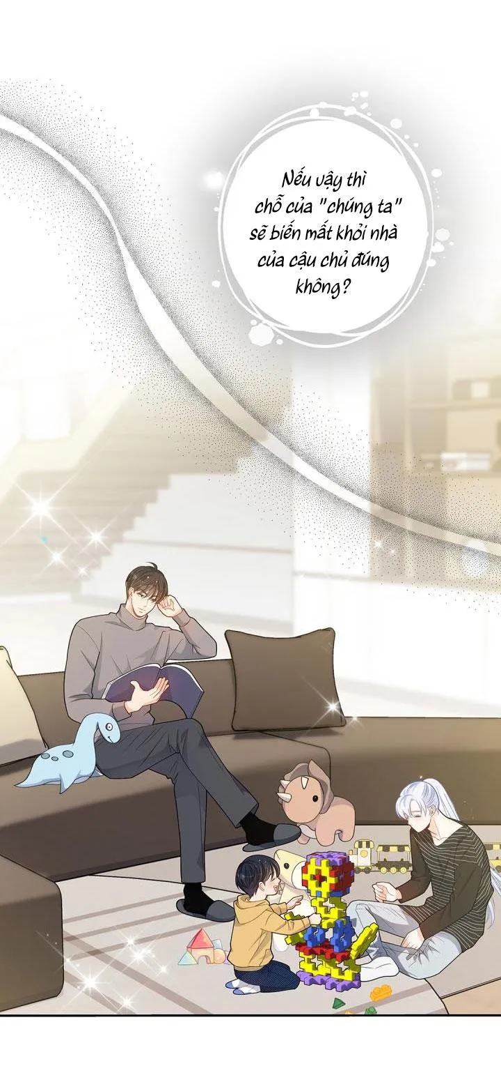 Hôn Nhân Bị Đánh Cắp Của Hồ Ly Chapter 21 Trang 12
