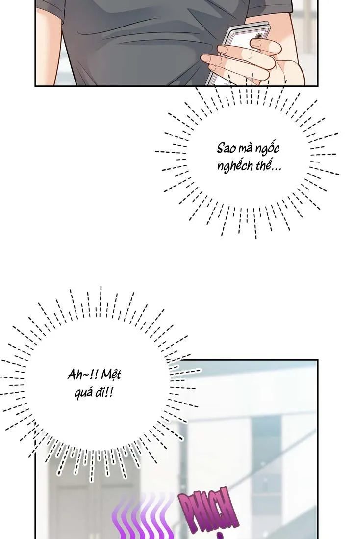 Hôn Nhân Bị Đánh Cắp Của Hồ Ly Chapter 23 Trang 14