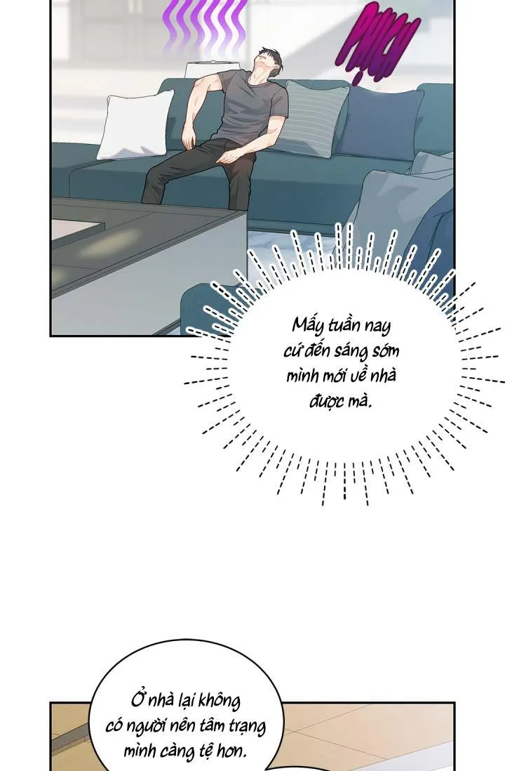 Hôn Nhân Bị Đánh Cắp Của Hồ Ly Chapter 23 Trang 15