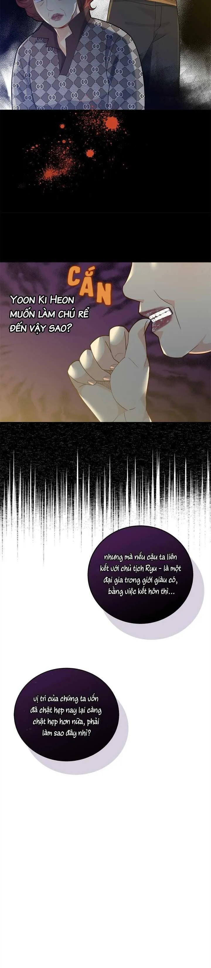 Hôn Nhân Bị Đánh Cắp Của Hồ Ly Chapter 24 Trang 5