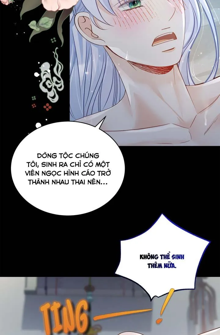 Hôn Nhân Bị Đánh Cắp Của Hồ Ly Chapter 26 Trang 42