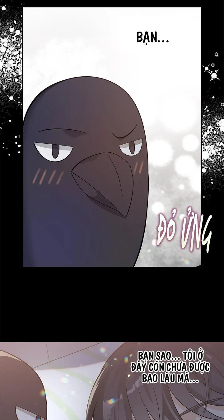 Hôn Nhân Bị Đánh Cắp Của Hồ Ly Chapter 34 Trang 17