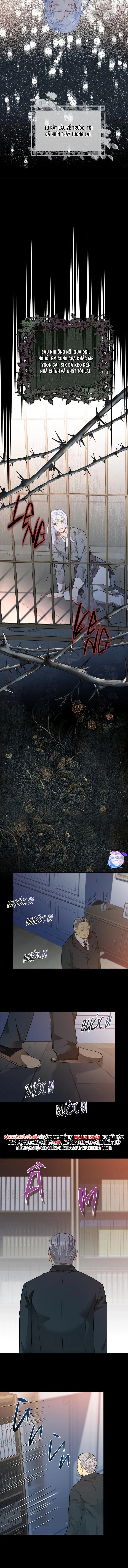 Hôn Nhân Bị Đánh Cắp Của Hồ Ly Chapter 38 Trang 8