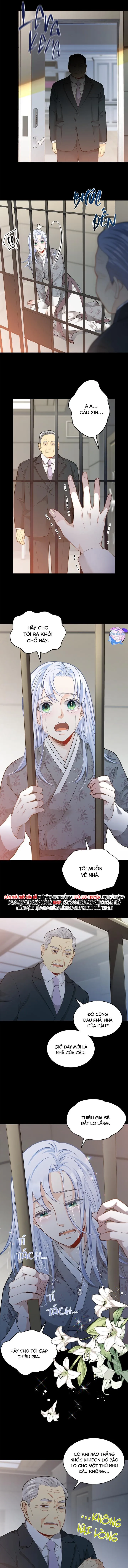 Hôn Nhân Bị Đánh Cắp Của Hồ Ly Chapter 38 Trang 9
