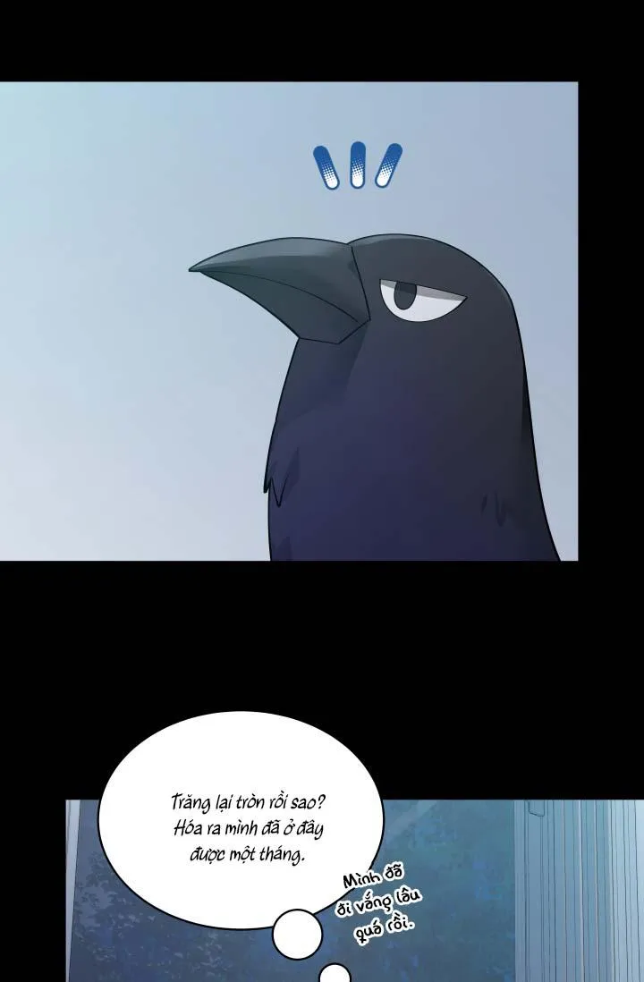 Hôn Nhân Bị Đánh Cắp Của Hồ Ly Chapter 39 Trang 5