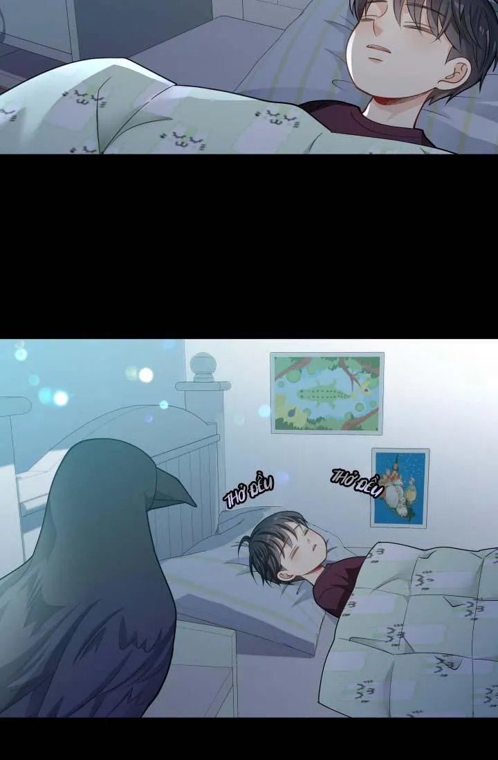 Hôn Nhân Bị Đánh Cắp Của Hồ Ly Chapter 39 Trang 7