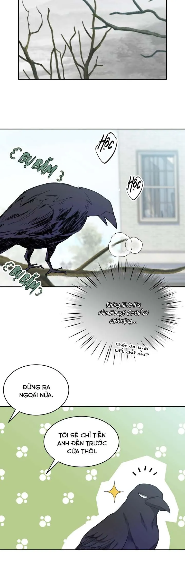 Hôn Nhân Bị Đánh Cắp Của Hồ Ly Chapter 39 Trang 28